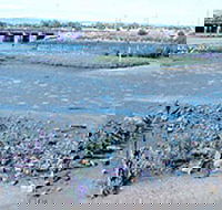 Jervois Basin Ships' Graveyard - Mackay Tourism