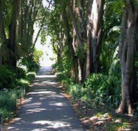 Adelaide Botanic Garden - Mackay Tourism