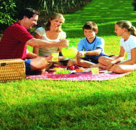 Bruny Island Berry Farm - Mackay Tourism