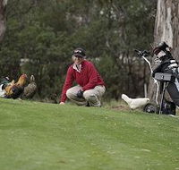 Tasmania Golf Club - The - Mackay Tourism