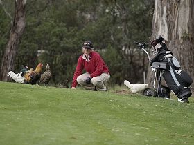 Tasmania Golf Club - The - Mackay Tourism 0
