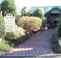 Two Oaks Nursery Gallery and Cafe - Mackay Tourism