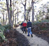Bridport Walking Track - Mackay Tourism