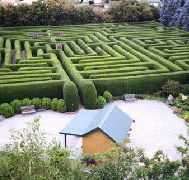 Westbury Maze and Tea Room - Mackay Tourism