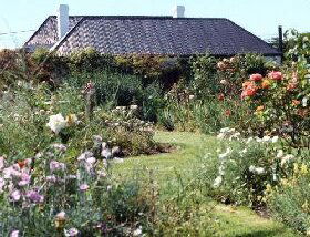 Rosedown Gardens - Mackay Tourism 0