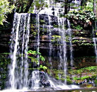 Mt Field National Park - Mackay Tourism