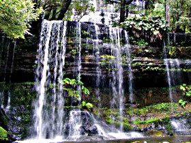 Mt Field National Park - Mackay Tourism 0