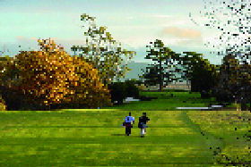Westwood TAS Mackay Tourism