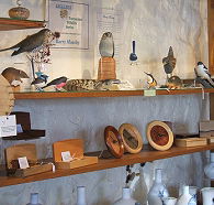 Touchwood Craft Gallery Gifts and Cafe - Mackay Tourism