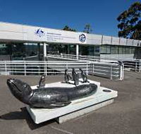 Australia's Antarctic Headquarters - Mackay Tourism