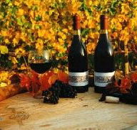 Craigow Vineyard - Mackay Tourism