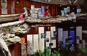 West Coast Visitor Information And Booking Centre - Mackay Tourism 0