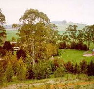 The Tasmanian Arboretum - Mackay Tourism