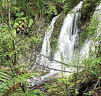 Hogarth Falls - Mackay Tourism