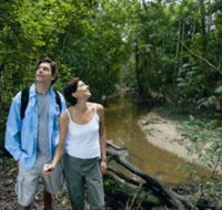 Mooloolah River National Park Jowarra Section - Mackay Tourism