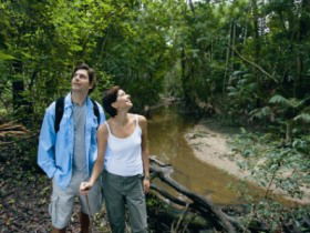 Mooloolah River National Park, Jowarra Section - Mackay Tourism 0