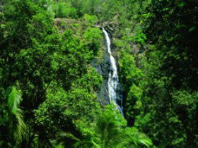 Montville QLD Mackay Tourism