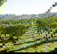 Surveyor's Hill Vineyards - Mackay Tourism