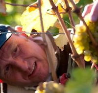 Puddleduck Vineyard - Mackay Tourism