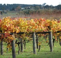 Apsley Gorge Vineyard - Mackay Tourism