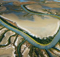 The Wilderness Gallery - Mackay Tourism