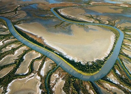 The Wilderness Gallery - Mackay Tourism 0