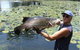 Barra Feeding - thumb 0