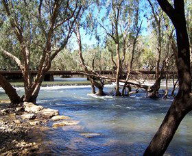 Low Level Nature Reserve - Mackay Tourism 0