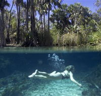 Bitter Springs - Mackay Tourism