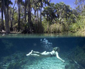 Bitter Springs - Mackay Tourism 0