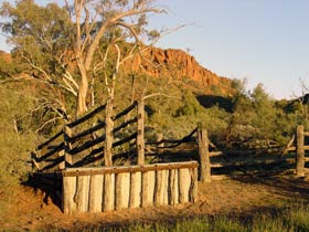 Illamurta Springs Conservation Reserve - Mackay Tourism 0