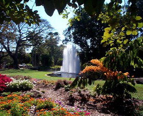 George Brown Darwin Botanic Gardens - Mackay Tourism 0