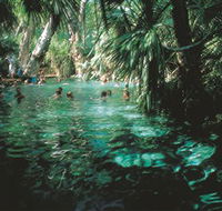 Mataranka Thermal Pool - Mackay Tourism