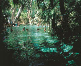 Mataranka Thermal Pool - Mackay Tourism 0