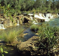 Flora River Nature Park - Mackay Tourism