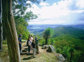 Gold Coast Hinterland Great Walk - Mackay Tourism 0