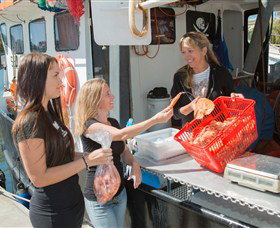 Gold Coast Fishermens Co-operative Limited - Mackay Tourism 0