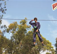Adventure Parc at Currumbin Wildlife Sanctuary - Mackay Tourism