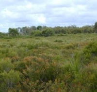 Pine Ridge Conservation Park - Mackay Tourism