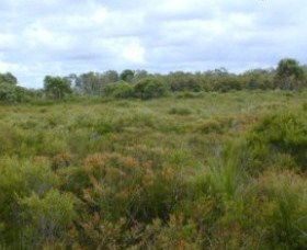 Pine Ridge Conservation Park - Mackay Tourism 0