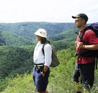 Sunshine Coast Hinterland Great Walk - Mackay Tourism