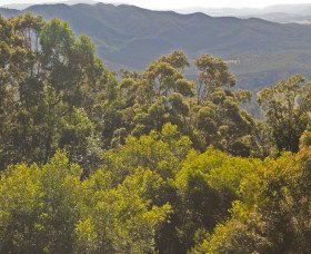 Conondale National Park - Mackay Tourism 0