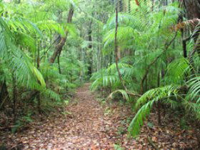 Mapleton QLD Mackay Tourism