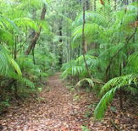 Delicia Road Conservation Park - Mackay Tourism