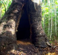 Tewantin National Park - Mackay Tourism
