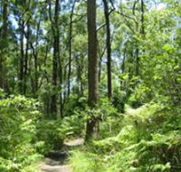 Mapleton Falls National Park - Mackay Tourism