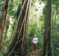 Wet Tropics - Mackay Tourism