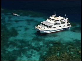 Fish Bowl Dive Site - Mackay Tourism 0