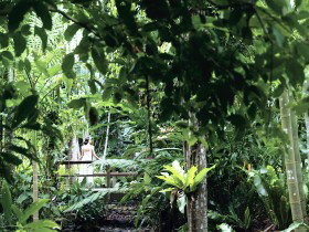 Flecker Botanic Gardens - Mackay Tourism 0