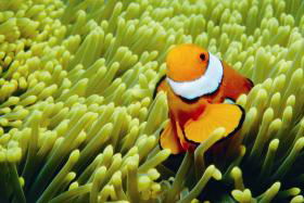 Cairns QLD Mackay Tourism
